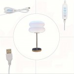 Mid Century Modern USB Powered Table Lamp, Solid Color, Metal Base, Glass Shade, Dimmable Button Control, Adjustable Illumination, Suitable for Living Room Reading, Decorative Desk Lamp with Built-In LED